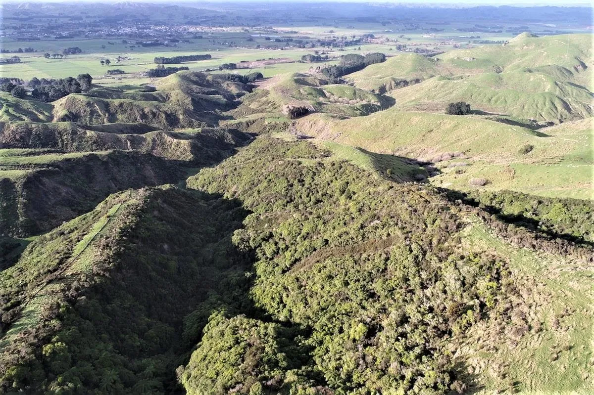 state highway 3 — NZ news