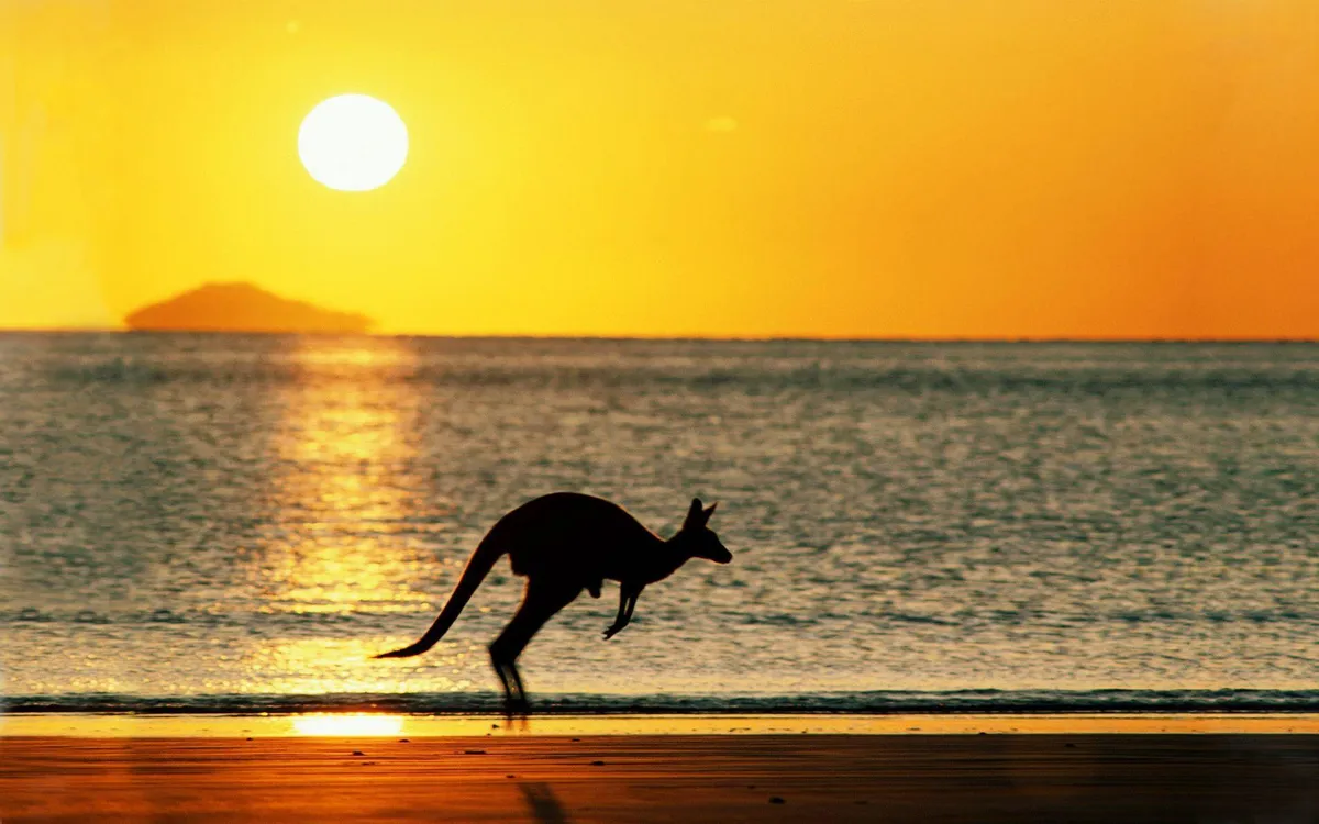 australia — NZ news