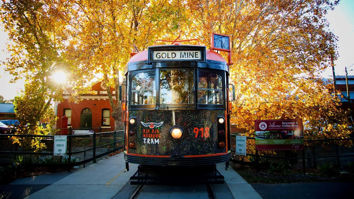 bendigo — NZ news