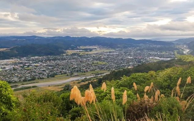 city — NZ news