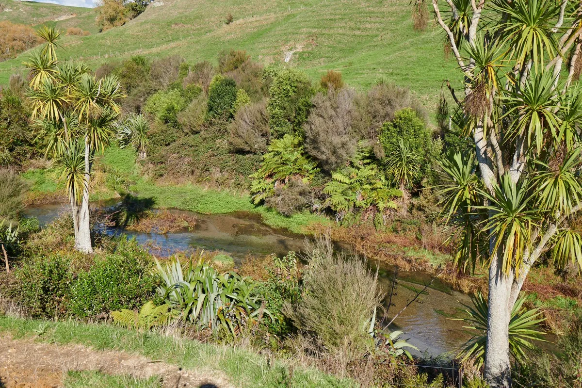 dairy farming — NZ news