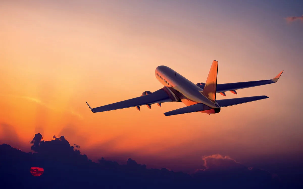 flight — NZ news
