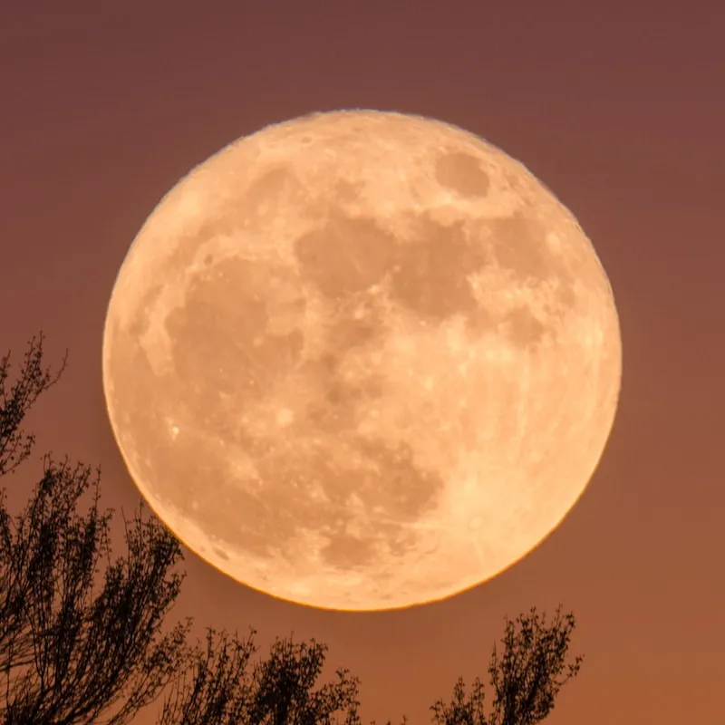 full moon may 2026 — NZ news