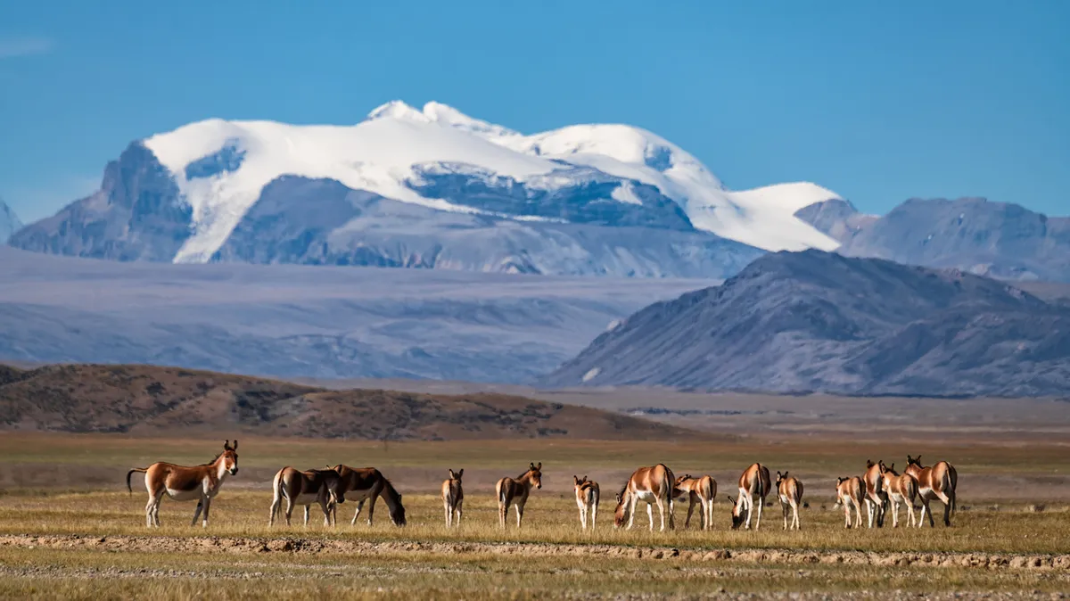 national park — NZ news