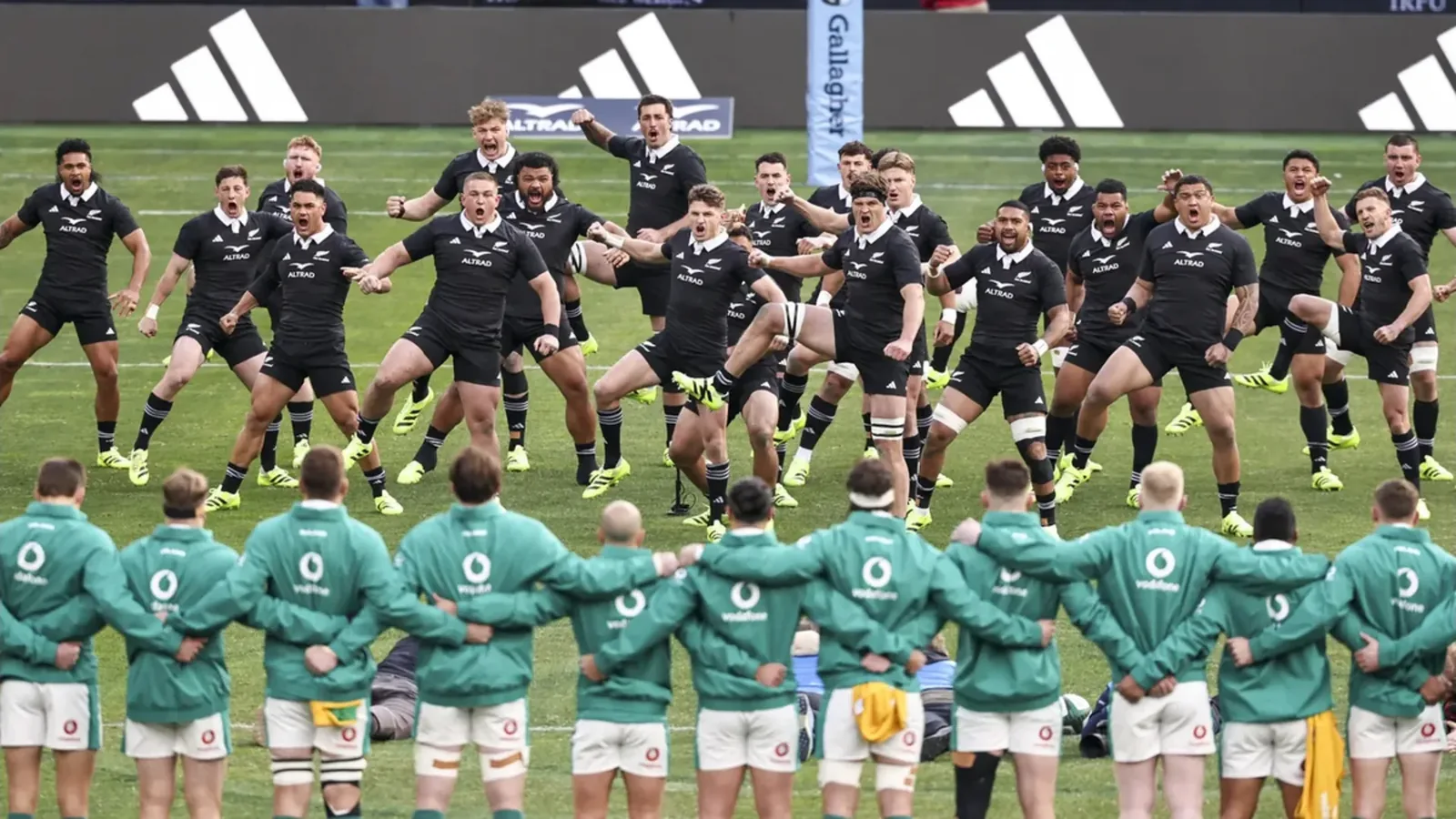 All Blacks host Ireland looking to extend Eden Park streak - NZ Herald